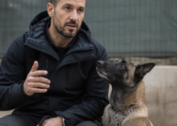 Víctor Mañero, adiestrador canino: “Los perros que tiran de la correa suelen carecer de normas en casa”