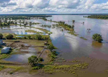El Niño: recomiendan a los productores monitorear el agua y ajustar las decisiones durante la campaña
