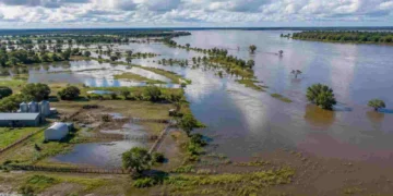El Niño: recomiendan a los productores monitorear el agua y ajustar las decisiones durante la campaña