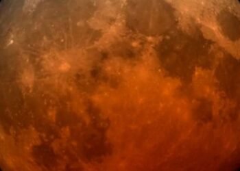 Eclipse lunar de agosto de 2026: cómo y cuándo observar la ‘Luna de Sangre’ desde Argentina
