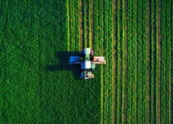 Agricultura de precisión e inteligencia artificial: las tecnologías que buscan transformar el trabajo en el campo