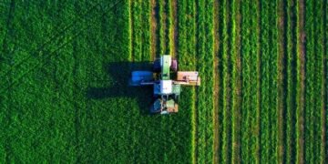 Agricultura de precisión e inteligencia artificial: las tecnologías que buscan transformar el trabajo en el campo