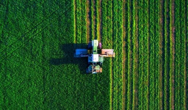 Agricultura de precisión e inteligencia artificial: las tecnologías que buscan transformar el trabajo en el campo