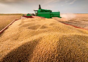 Canje de granos: cómo la cesión de contratos puede ampliar las opciones de financiamiento para productores