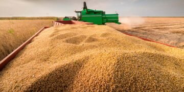 Canje de granos: cómo la cesión de contratos puede ampliar las opciones de financiamiento para productores