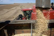 Alquilar y sembrar soja: según un estudio, el fisco recauda 17 veces más que la ganancia del arrendatario