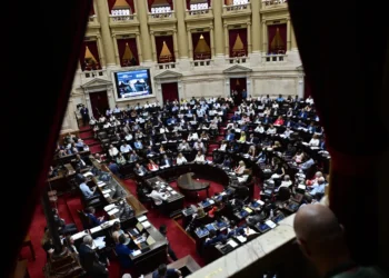 Diputados: la oposición busca emplazar a las comisiones para acelerar los proyectos sobre deuda y discapacidad