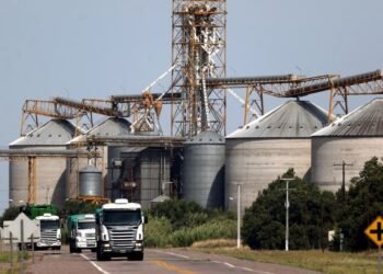 La agroindustria mantiene un fuerte ritmo exportador y la liquidación de divisas marcó un récord para agosto