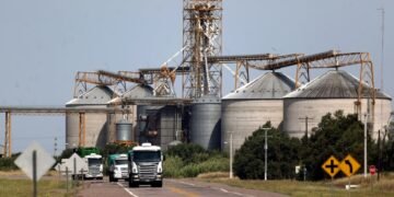 La agroindustria mantiene un fuerte ritmo exportador y la liquidación de divisas marcó un récord para agosto