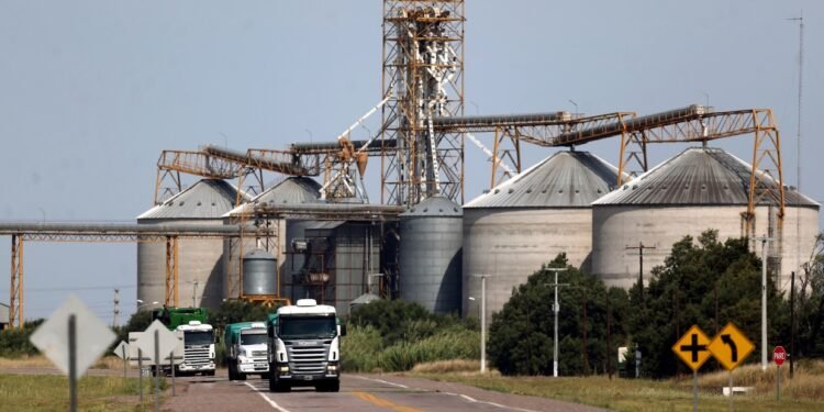 La agroindustria mantiene un fuerte ritmo exportador y la liquidación de divisas marcó un récord para agosto