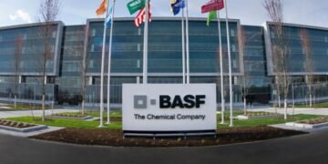 BASF evalúa nuevas inversiones en semillas de soja y pide cambios en la regulación de propiedad intelectual
