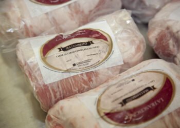 Las exportaciones de carne alcanzaron en siete meses el mayor valor de la última década