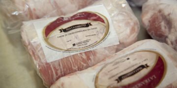 Las exportaciones de carne alcanzaron en siete meses el mayor valor de la última década