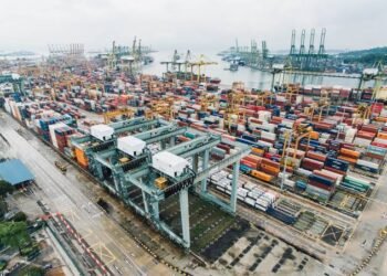 Mercosur-Singapur: cuáles son los productos argentinos con mayor potencial de exportación