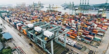 Mercosur-Singapur: cuáles son los productos argentinos con mayor potencial de exportación