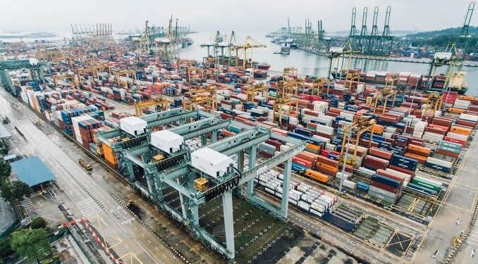 Mercosur-Singapur: cuáles son los productos argentinos con mayor potencial de exportación
