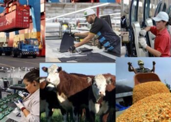 La actividad económica cayó en julio y crece el debate sobre una posible recesión técnica
