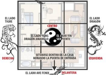 Uso decorativo y beneficioso del romero seco en el hogar