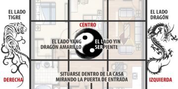 Uso decorativo y beneficioso del romero seco en el hogar