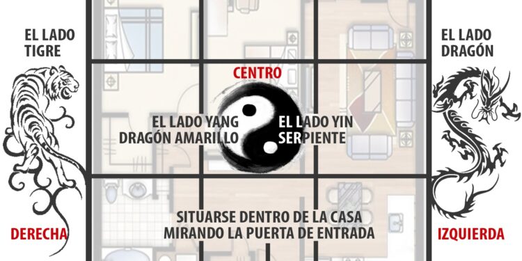Uso decorativo y beneficioso del romero seco en el hogar