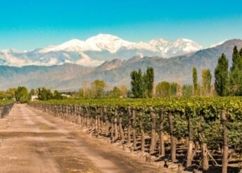 Oportunidad de voluntariado en Mendoza: alojamiento gratuito a cambio de colaboración