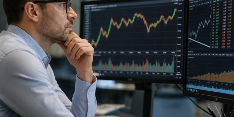 Guía sobre las Obligaciones Negociables: definición, renta en dólares e inversión